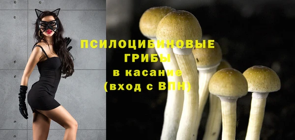 мет Абаза
