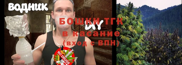 твердый Алзамай