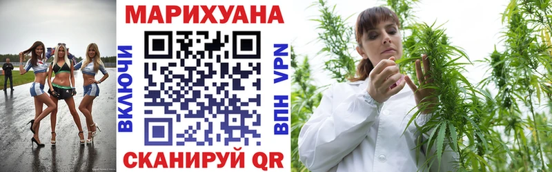 Конопля сатива  Энгельс 